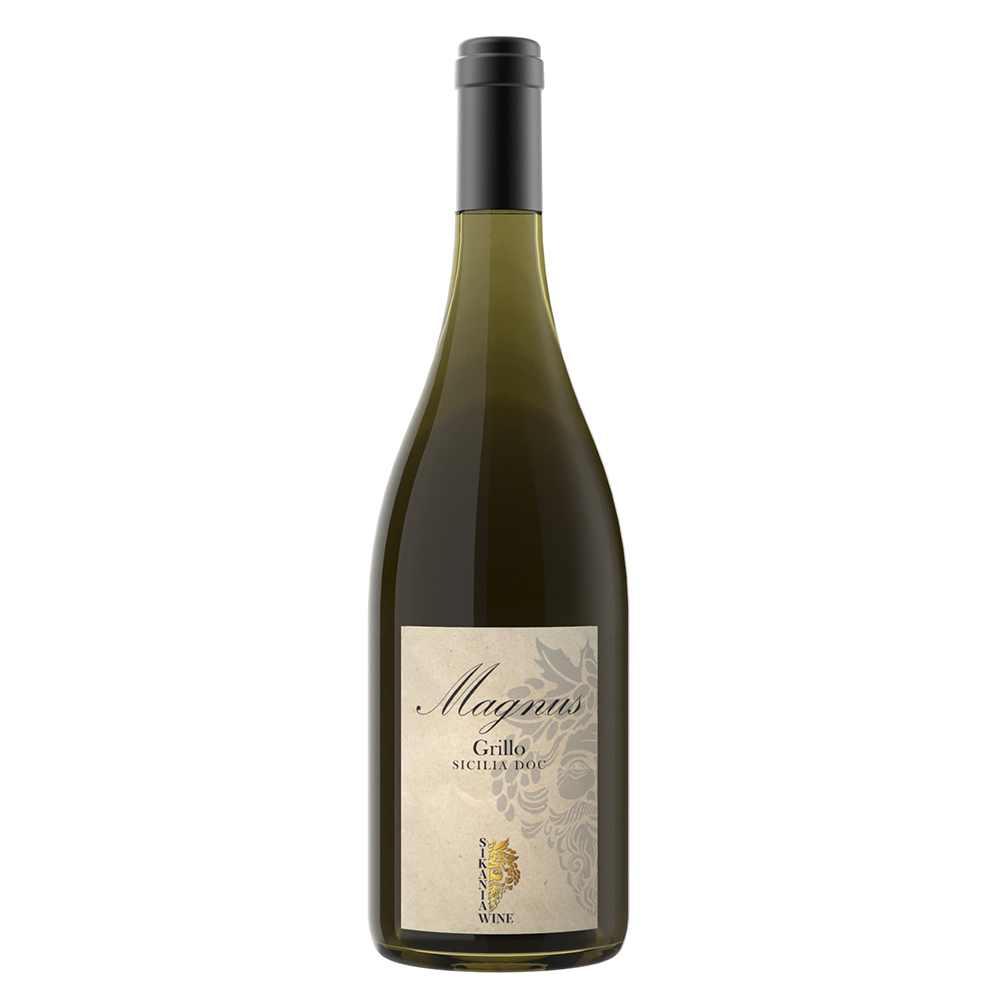 FRONTE-MAGNUS-GRILLO